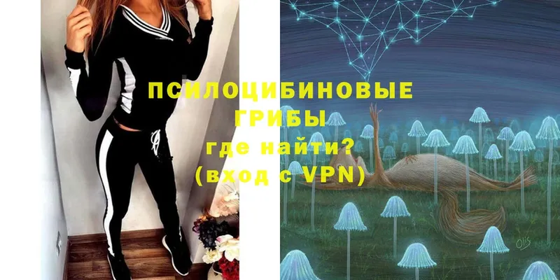 Псилоцибиновые грибы MAGIC MUSHROOMS  мориарти состав  Карталы 